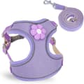 No Pull Step-in Puppy Harness with Breathable Mesh and Quick Release Dog Harness and Leash for Small Medium Dogs Reflective Purple XS