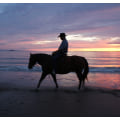Miniatyrbilde 6 av 6: 1 stk cowboyhatt
