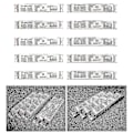 Miniatyrbilde 2 av 5: 220-240v Bredspennings T5 Elektronisk Forkobling Fluorescerende Lampe Forkoblinger for Hjem-Perfekt 2X28W