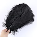 Miniatyrbillede 1 af 5: 10 stk Naturlige Sorte Strudsefjer til Håndværk Bryllup Hjem Dekoration 15-20cm/25-30cm/30-35cm Fest Strudsefjer Midtpunkt-Perfekt Black