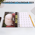 Miniatyrbilde 4 av 5: Verdens beste soppkalender 2025 - Bring glede og hold deg organisert - Perfekt for gaver til jul