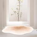 Miniatyrbilde 3 av 5: Nordisk stil myk teppe stue teppe soverom teppe uregelmessig sky-formet sofa kaffebord gulvmatte inngangsdør matte - perfekt 2 60X90CM