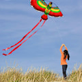 Miniatyrbild 9 av 10: Flying Kite String Drake Med Plasthandtag - Perfet