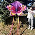 Miniatyrbillede 10 af 10: Butterfly Triangle Kite 50/100Meter Kite BLÅ - Perfet