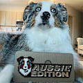 Pikkukuva 2 / 2: Koira Edition Auton Merkit Laserleikkaus Auton Ajoneuvon Tunnus, 3D-merkki Autotarrat Tarrat Autolle Kuorma-autolle RV-veneelle Ulkokoristelu-Perfet D
