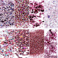 Miniatyrbild 3 av 6: st nagelglitter glitter, Nageldekorationer- Perfet