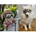 Miniatyrbillede 5 af 5: Hundebriller til mellemstore og store racer - Øjenbeskyttelse Solbriller Vindtætte UV-beskyttende Briller til Udendørs - Klar Linse Justerbare Hovedstropper - Perfekt