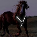 Miniatyrbilde 2 av 4: LED Hestebrystplate Krage Sele Høy Synlighet Sele Lys Webbing - Perfekt White
