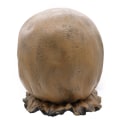 Miniatyrbilde 4 av 6: Halloween lateks fugleskremsel maske hette - Perfet
