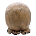 Miniatyrbillede 4 af 6: Halloween latex fugleskræmsel maske hætte - Perfet
