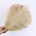 Miniatyrbillede 1 af 5: 10 stk Naturlige Sorte Strudsefjer til Håndværk Bryllup Hjem Dekoration 15-20cm/25-30cm/30-35cm Fest Strudsefjer Midtpunkt-Perfekt camel