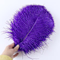Miniatyrbillede 1 af 5: 10 stk Naturlige Sorte Strudsefjer til Håndværk Bryllup Hjem Dekoration 15-20cm/25-30cm/30-35cm Fest Strudsefjer Midtpunkt-Perfekt dark purple