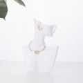 Pikkukuva 2 / 6: Jewelry Show Bust Resin Elegant kaulakoru korvakorut - Perfet white
