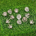 Miniatyrbillede 3 af 5: 12 stk Fodbold Knopper Fodbold Udskiftnings Knopper 13mm 16mm Fodbold Knopper Fodbold Knopper - Perfekt