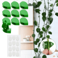 Miniatyrbillede 1 af 7: Selvklæbende planteholder vægbeslag til klatreplanter 40-Pack - Perfet