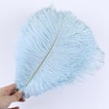 Miniatyrbillede 1 af 5: 10 stk Naturlige Sorte Strudsefjer til Håndværk Bryllup Hjem Dekoration 15-20cm/25-30cm/30-35cm Fest Strudsefjer Midtpunkt-Perfekt light blue