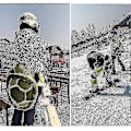 Miniatyrbilde 5 av 5: Ski-, Skate- og Snowboardbeskyttende Utstyr, Søt Skilpadde Havputer - Perfekt Blue Adult Hip
