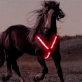 Miniatyrbilde 3 av 5: LED Hestebrystplate Krage Sele Høy Synlighet Sele Lys Webbing - Perfekt Red