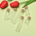 Pikkukuva 4 / 8: 10 kpl Minilasipulloja korkisella läpinäkyvällä pullolla - Perfet 20ml-10pcs
