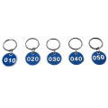 Miniatyrbilde 3 av 6: 1-100 tallnummer Nøkkelring Nummerlapper Skap Gym Nøkkelringer Graverte tall med Nøkkelringer Nøkkelring Aluminiumsnummer Tag - Perfet 1 to 100
