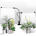 Miniatyrbillede 1 af 5: Vækstlys, sollys hvid 50w 84 Led dobbelt hoved klemme plantelamper, 4/8/12 timers timer & 5 dæmpbare niveauer - Perfekt