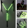 Miniatyrbilde 3 av 5: LED Hestebrystplate Krage Sele Høy Synlighet Sele Lys Webbing - Perfekt Green