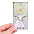 Miniatyrbild 3 av 6: The Wild Unknown Animal Spirit Oracle Card Tarot Prophecy Divin - Perfet one size