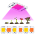 Pikkukuva 7 / 10: Polttimo Chip Grow Lights VALKOINEN - Perfet White30W 220V