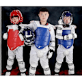 Pikkukuva 5 / 5: Karate-liivi Kehon Suoja Taekwondo Rinnansuoja Harjoitussetti Kickboxing Sparring Varusteet WTF Harjoitusvälineet - Täydellinen red 170-180cm