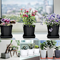 Miniatyrbild 2 av 5: 5 st. Kvadratiska Blomkrukafat i Plast för att Fånga Överskottsvatten och Jordspill - Perfekt för Inomhusväxter Grey 10 inches