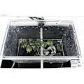 Miniatyrbilde 3 av 5: Varmematte for reptiler, tankvarmer med temperaturregulator - Perfet 20W - 42X28CM