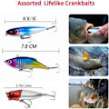 Pikkukuva 3 / 4: 78. set Luya Baits Kit Bulkkikalastusvälineet - Perfet