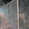 Miniatyrbilde 2 av 2: Heavy Duty Anti Fuglenett Hage Fekting og avlinger Beskyttende gjerder Mesh Anti Bird Hjort Katt Hund Kylling - Perfet 4x10m