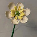 Miniatyrbillede 3 af 3: Romantisk Blomsterbuket Byggeklodser Legetøj DIY Hjem Dekoration Pottet Illustration - Perfekt Jasmine