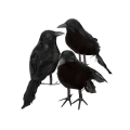 Miniatyrbillede 3 af 6: 6 x Halloween dekoration krage kunstig ravn krage med fjer sort fugl--