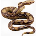 Pikkukuva 1 / 5: Erittäin realistinen kumikäärmelelu - Python-malli puutarhakoristeeksi ja Halloween-rekvisiitaksi - Täydellinen