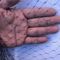 Pikkukuva 3 / 7: Musta Anti lintuverkko Siipikarjan verkko lintuhuone vihanneksille - Perfet 4*10M