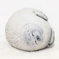 Miniatyrbillede 5 af 7: Angry Seal Pillow Plys Seal Animal Toy Seal Pillow -1 - Perfet Grey 60CM