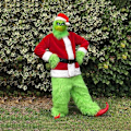 Miniatyrbillede 3 af 5: 7 dele Grinch Kostume Julecosplay Voksen Julemand Kostume Outfits Sæt + Maske A-Perfet C 2XL
