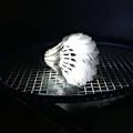 Miniatyrbillede 5 af 5: Holdbar og Lysende LED Badminton Bold til Indendørs / Udendørs (4 Farver) - Perfekt