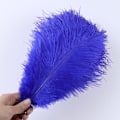 Miniatyrbillede 1 af 5: 10 stk Naturlige Sorte Strudsefjer til Håndværk Bryllup Hjem Dekoration 15-20cm/25-30cm/30-35cm Fest Strudsefjer Midtpunkt-Perfekt royal blue