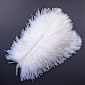 Miniatyrbillede 1 af 5: 10 stk Naturlige Sorte Strudsefjer til Håndværk Bryllup Hjem Dekoration 15-20cm/25-30cm/30-35cm Fest Strudsefjer Midtpunkt-Perfekt white