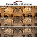 Miniatyrbillede 3 af 5: 42w E14 C35 Dæmpbar Halogenpære Ac 220-240v Varm Hvid 2700k E14 Transparent Halogen Lyspære (10 stk.) - Perfekt