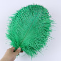 Miniatyrbillede 1 af 5: 10 stk Naturlige Sorte Strudsefjer til Håndværk Bryllup Hjem Dekoration 15-20cm/25-30cm/30-35cm Fest Strudsefjer Midtpunkt-Perfekt grass green