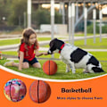 Miniatyrbild 5 av 5: Handleshh Tyst Skum Basketboll Dribbling inomhus Tyst Basketboll - Perfekt Colourful 24cm
