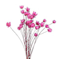 Miniatyrbillede 2 af 2: 30 stk. Daisy Små Stjerne Tørrede Blomster Buket Bevar Blomst til Bryllup Dekoration-Perfet Rose Red
