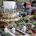 Miniatyrbild 7 av 7: Automatisk droppvattnare blomvattnare - Multipack - Perfet