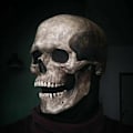 Miniatyrbilde 2 av 5: Realist Bevegelig Halloween Hodeskalle Maske Hjelm med Kjeve Horror Cosplay-Perfekt