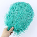 Miniatyrbillede 1 af 5: 10 stk Naturlige Sorte Strudsefjer til Håndværk Bryllup Hjem Dekoration 15-20cm/25-30cm/30-35cm Fest Strudsefjer Midtpunkt-Perfekt peacock green