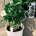 Miniatyrbild 6 av 7: Automatisk droppvattnare blomvattnare - Multipack - Perfet